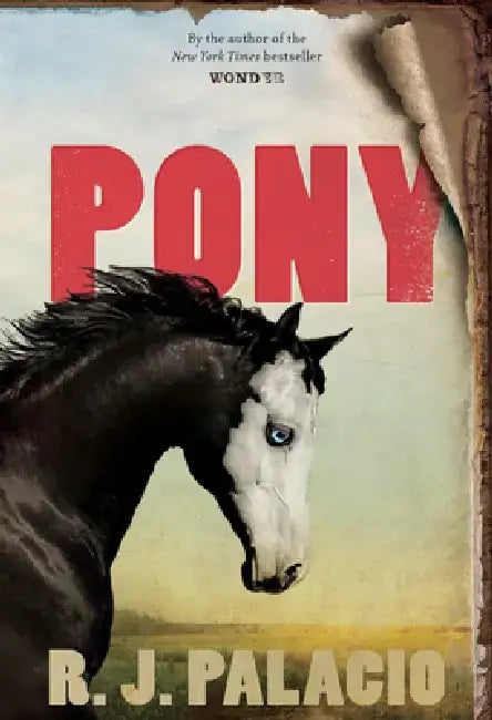 Buy Pony (English, Random House) — BookShops.in