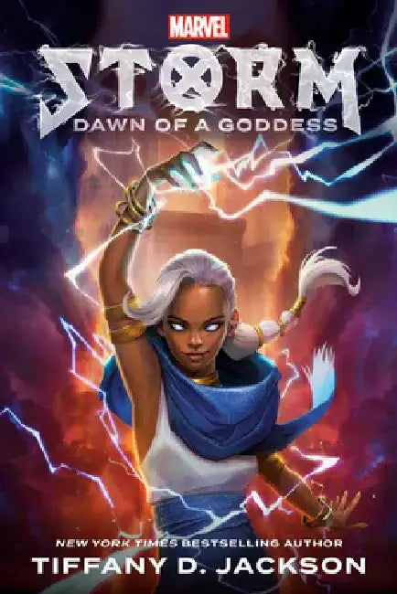 Storm (English, Tiffany D. Jackson)