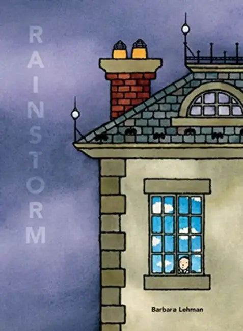 Buy Rainstorm (English, Barbara Lehman) โ BookShops.in