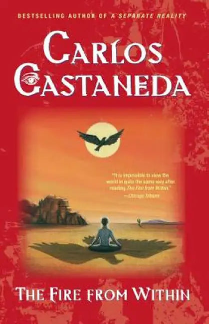 Buy Fire from Within (English, Carlos Castaneda) — BookShops.in