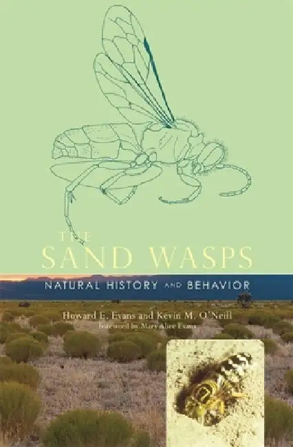 Buy The Sand Wasps (English, Howard E. Evans | Kevin M. O'Neill | Mary Alice Evans) — BookShops.in