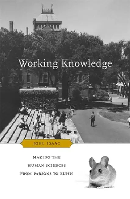 Buy Working Knowledge (English, Joel Isaac) — BookShops.in