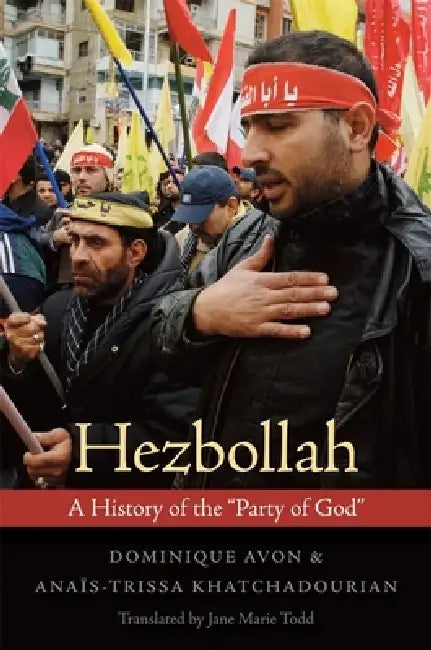 Buy Hezbollah (English, Dominique Avon | Anaїs-Trissa Khatchadourian | Jane Marie Todd) — BookShops.in