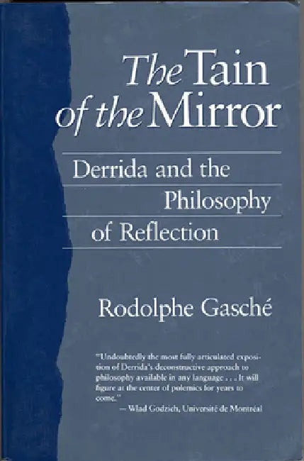 Buy The Tain of the Mirror (English, Rodolphe Gasché) — BookShops.in
