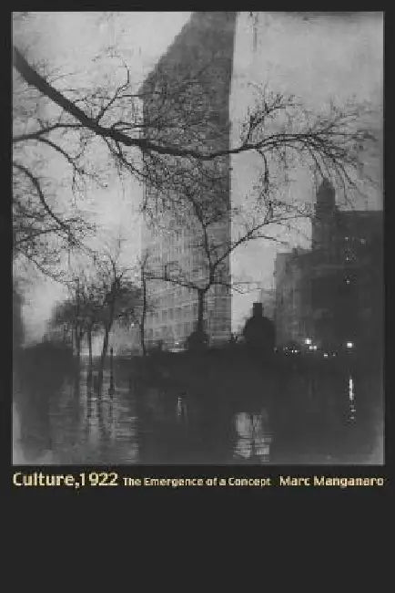 Buy Culture, 1922 (English, Marc Manganaro) — BookShops.in