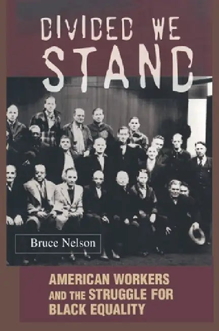 Buy Divided We Stand (English, Bruce Nelson) — BookShops.in