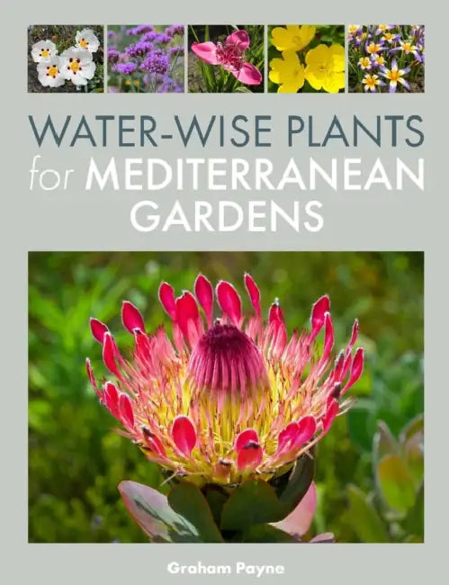 Buy Water-Wise Plants for Mediterranean Gardens (English, Graham Payne) — BookShops.in