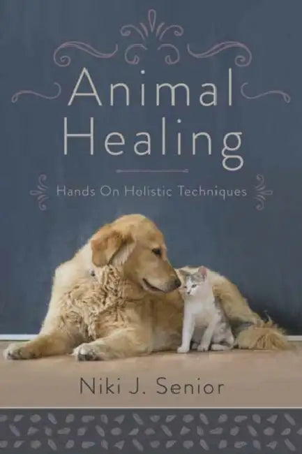 Buy Animal Healing by Niki J. Senior: Holistic Natural Remedies for Pets | Llewellyn Paperback — BookShops.in