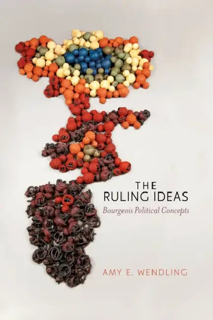 Buy The Ruling Ideas (English, Amy E. Wendling) โ BookShops.in