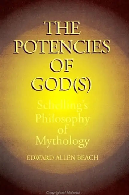 Buy The Potencies of God(s) (English, Edward Allen Beach) — BookShops.in