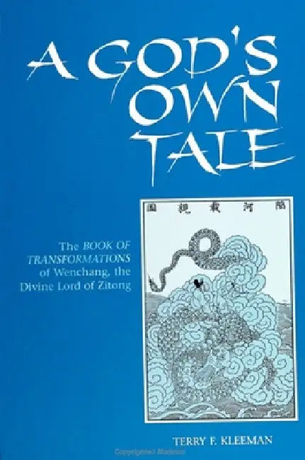 Buy A God's Own Tale (English, Terry F. Kleeman) — BookShops.in