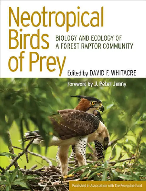 Buy Neotropical Birds of Prey (English, David Whitacre | J. Peter Jenny) — BookShops.in