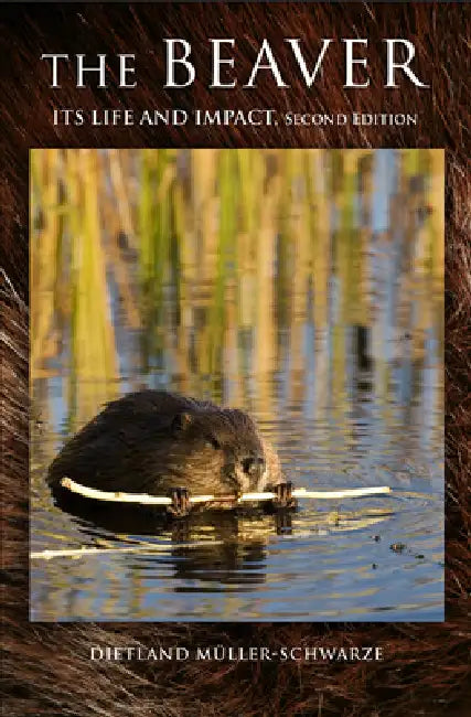 Buy The Beaver (English, Dietland Müller-Schwarze) — BookShops.in