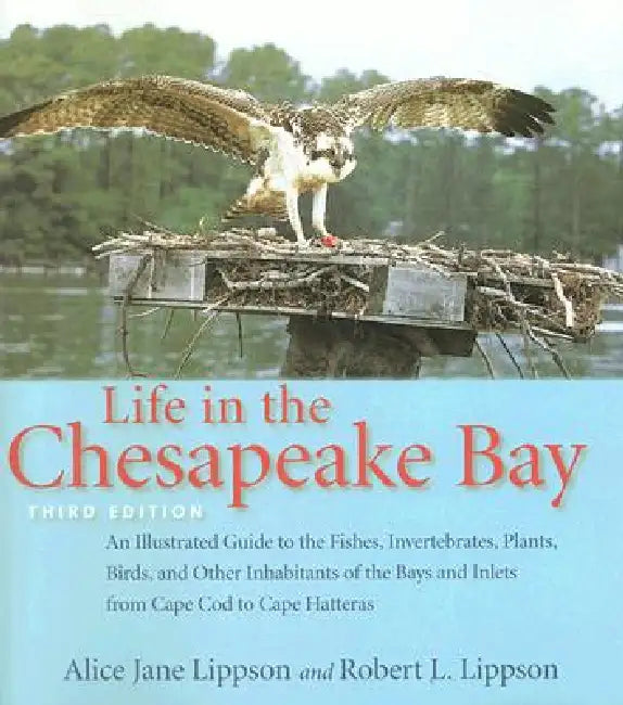 Buy Life in the Chesapeake Bay (English, Alice Jane Lippson | Robert L. Lippson) — BookShops.in
