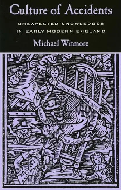 Buy Culture of Accidents (English, Michael Witmore) β BookShops.in