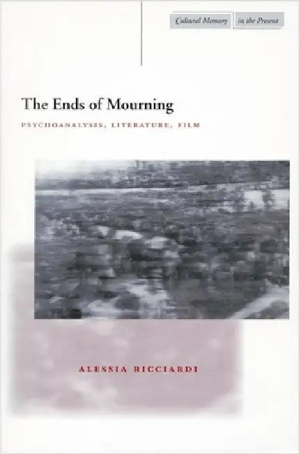 Buy The Ends of Mourning (English, Alessia Ricciardi) — BookShops.in