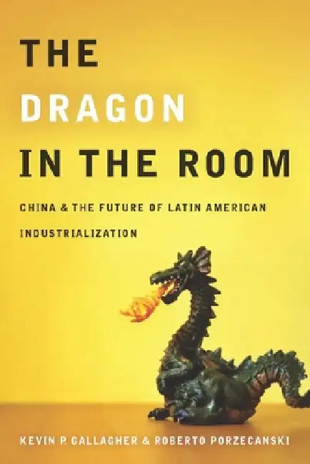 Buy The Dragon in the Room (English, Kevin Gallagher | Roberto Porzecanski) — BookShops.in