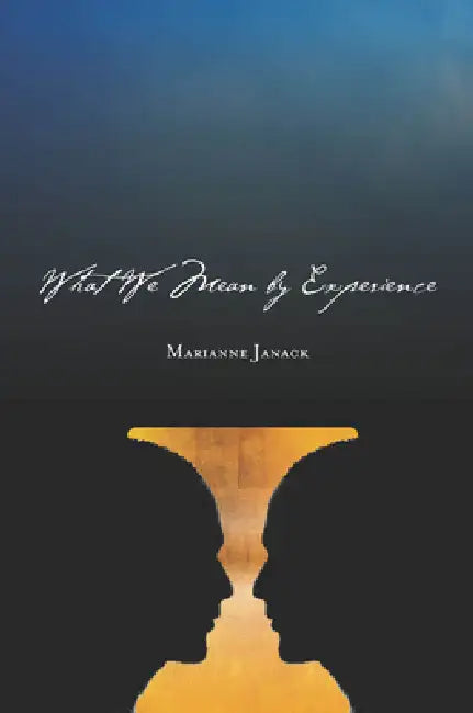 Buy What We Mean by Experience (English, Marianne Janack) — BookShops.in