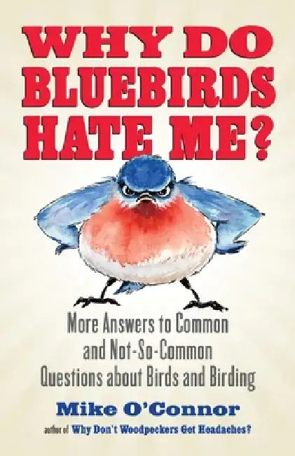 Buy Why Do Bluebirds Hate Me? (English, Mike O'Connor) — BookShops.in