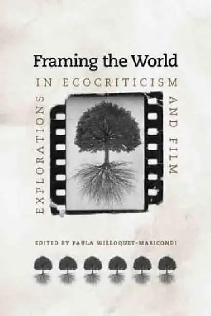 Buy Framing the World (English, Paula Willoquet-Maricondi) — BookShops.in
