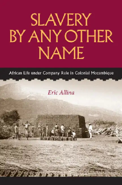 Buy Slavery by Any Other Name (English, Eric Allina) β BookShops.in