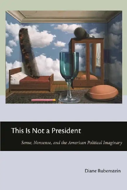 Buy This Is Not a President (English, Diane Rubenstein) β BookShops.in