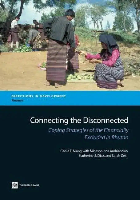 Buy Connecting the Disconnected (English, Cecile T. Niang | Mihasonirina Andrianaivo | Katherine S. Diaz) — BookShops.in