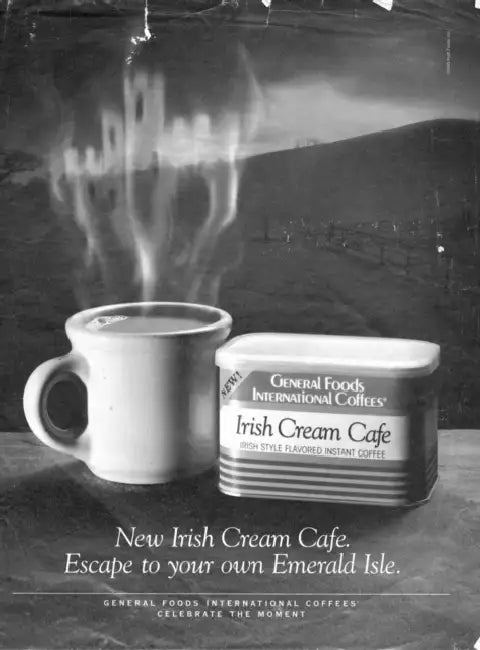 Buy The Irish in Us (English, Diane Negra) — BookShops.in