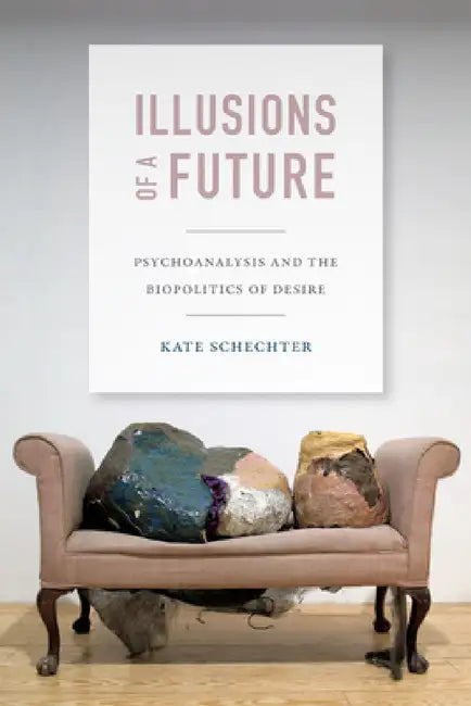 Buy Illusions of a Future (English, Kate Schechter) — BookShops.in
