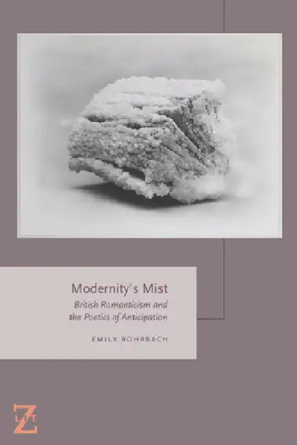 Buy Modernity's Mist (English, Emily Rohrbach) โ BookShops.in