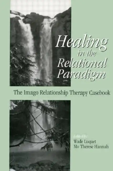 Buy Healing in the Relational Paradigm (English, Wade Luquet) — BookShops.in