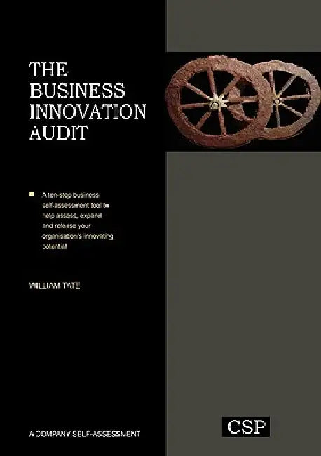 The Business Innovation Audit (English, William Tate) view 4