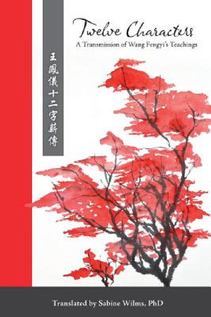 Buy Twelve Characters (English, Sabine Wilms) — BookShops.in