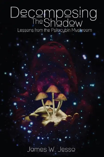 Buy Decomposing The Shadow (English, James W. Jesso) β BookShops.in