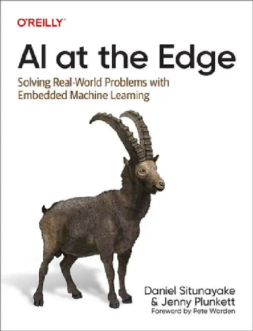 AI at the Edge (English, Daniel Situnayake) view 4