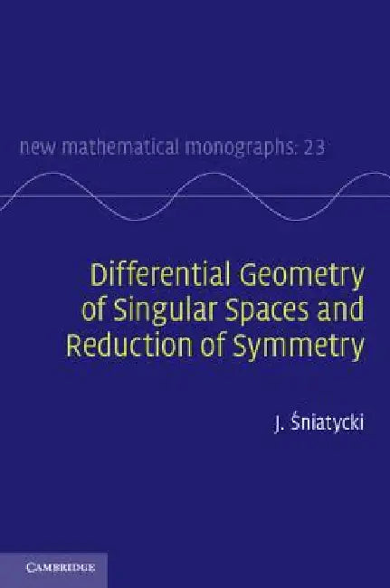 Differential Geometry of Singular Spaces and Reduction of Symmetry view 4