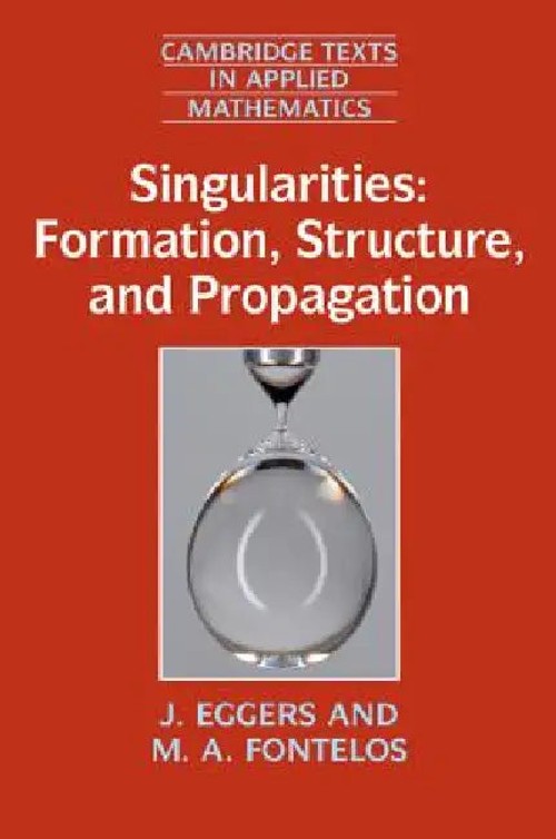Singularities Formation Structure and Propagation – J. Eggers view 2