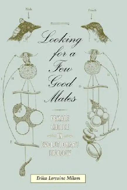 Buy Looking for a Few Good Males (English, Erika L. Milam) — BookShops.in