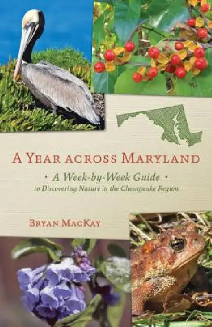 Buy A Year Across Maryland (English, Bryan MacKay) — BookShops.in