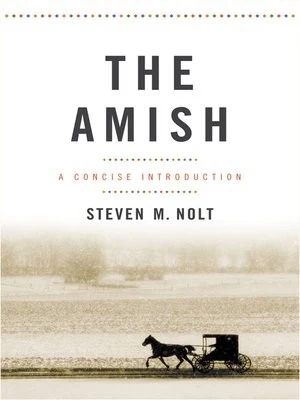 Buy The Amish (English, Steven M. Nolt) — BookShops.in