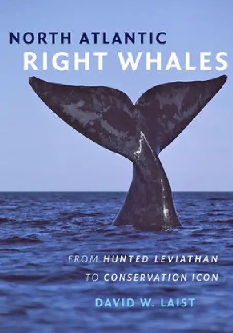 Buy North Atlantic Right Whales (English, David W. Laist) — BookShops.in