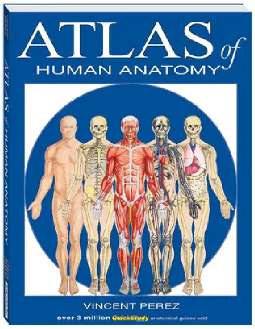 Buy Atlas of Human Anatomy (English, Vincent Perez) — BookShops.in