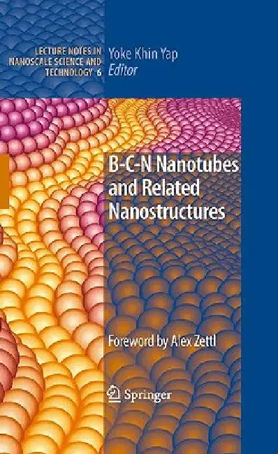B C N Nanotubes And Related Nanostructures: 6 (Lecture Notes in Nanoscale Science and Technology) view 2