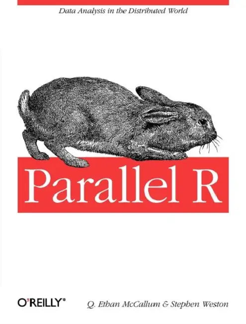 Buy Parallel R (English, Q. McCallum | Stephen Weston) — BookShops.in