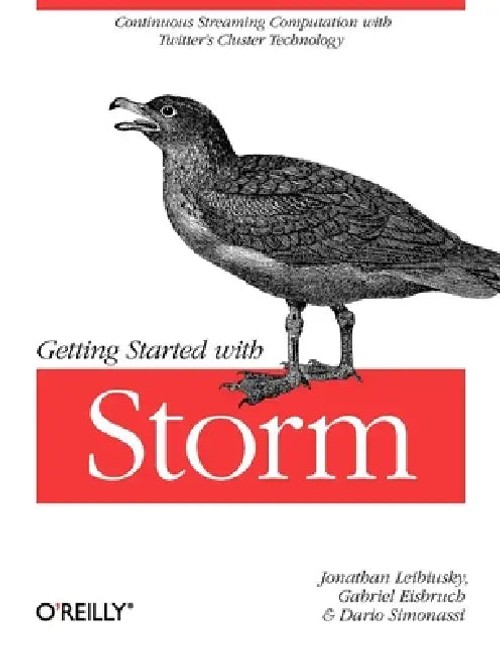 Getting Started with Storm: Real-Time Stream Processing with Twitter's Cluster Technology view 2