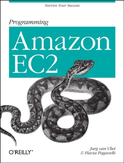 Buy Programming Amazon Ec2 (English, Jurg Van Vliet | Flavia Paganelli) — BookShops.in