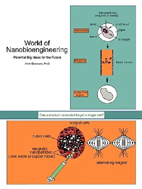 Buy World of Nanobioengineering (English, Amin Elsersawi Ph. D.) — BookShops.in