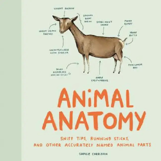 Buy Animal Anatomy (English, Sophie Corrigan) — BookShops.in