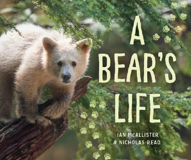 A Bear's Life by Ian McAllister – Hardcover Wildlife Photography Book view 2