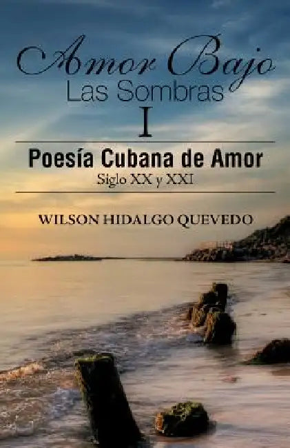 Buy Amor Bajo Las Sombras I (English, Wilson Hidalgo Quevedo) โ BookShops.in